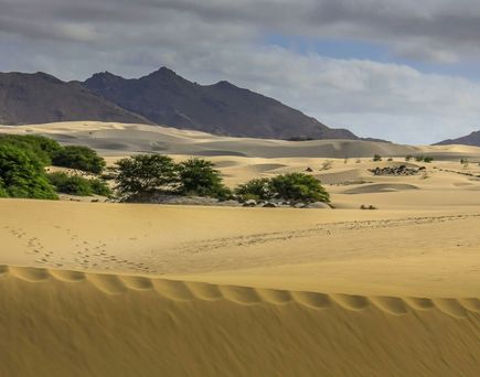 Dünen von Kapverden Insel Boa Vista