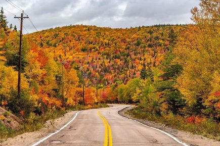 gelb, rot und gold gefärbte Blätter der Baumlandschaft im Indian Summer in USA