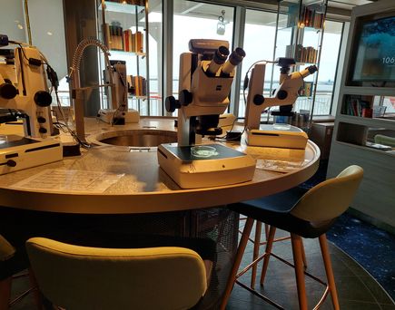 Mehrere Mikroskope stehen auf einem runden Arbeitstisch in einem Forschungslabor an Bord eines Schiffes.