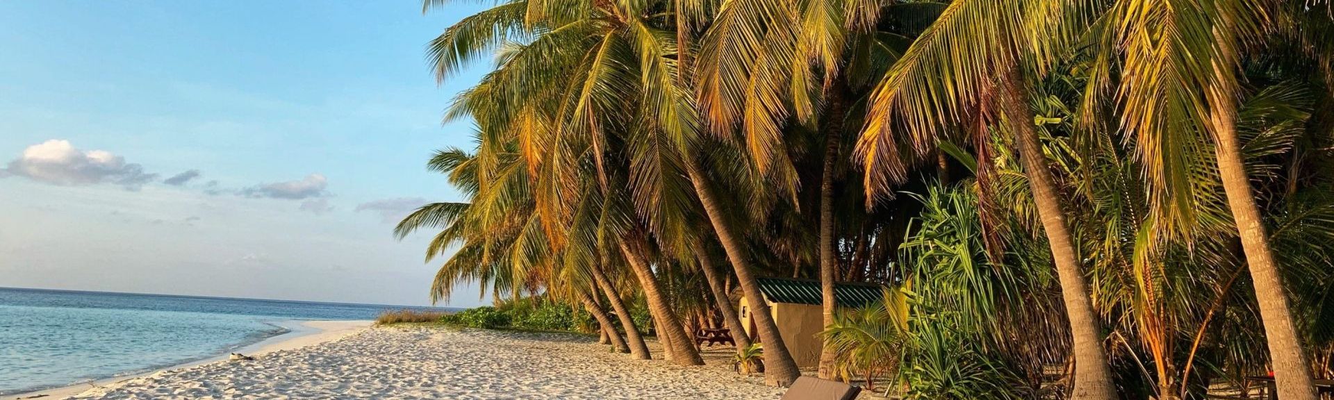 Golden Gate Bridge: Brücke in San Francisco