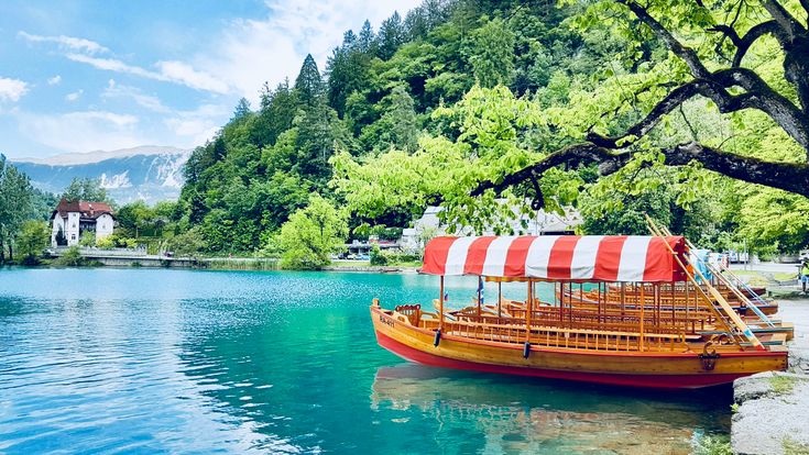 Blick auf den Hafen von Saranda in Albanien mit kleinen Booten im klaren Wasser, bunten Häusern an einem grünen Berghang im Hintergrund und Palmen sowie roten Blumen im Vordergrund an einem sonnigen Tag.