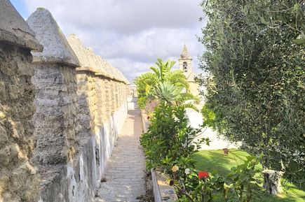 Bewachsener Weg entlang eines Steinzauns