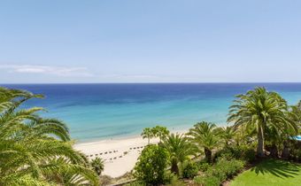 ROBINSON Esquinzo Playa