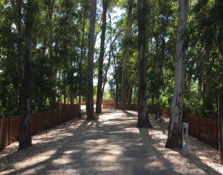 Weg zum Strand im Aldiana Club Calabria