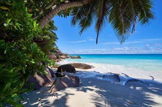 Strand einer Seychellen Insel (Indischer Ozean in Afrika)