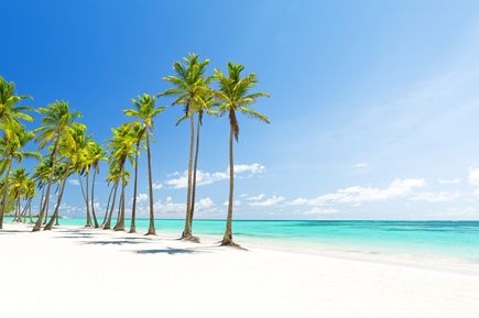 Punta Cana, Strand mit Palmen