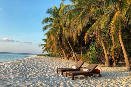 Strand einer Malediven Insel (Indischer Ozean in Asien)