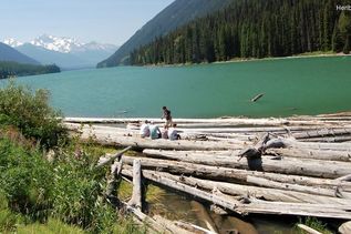 Holzäste vor See und Berg in Kanada