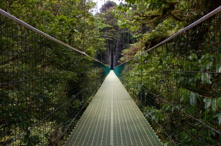 Fußgänger Brücke inmitten Monteverde Nebelwald von Costa Rica