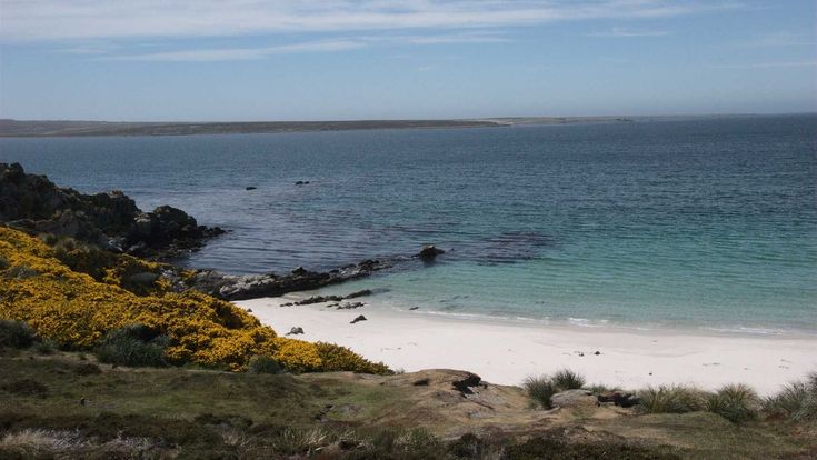 Strand & Küste auf den Falkland Islands